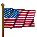 Picture of United States Flag